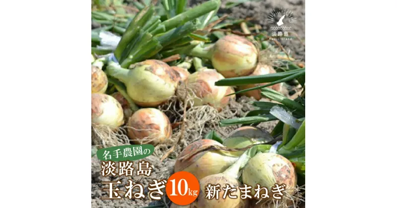 【ふるさと納税】【新たまねぎ】名手農園の淡路島特産玉ねぎ10kg【発送時期：2025年3月～5月頃】