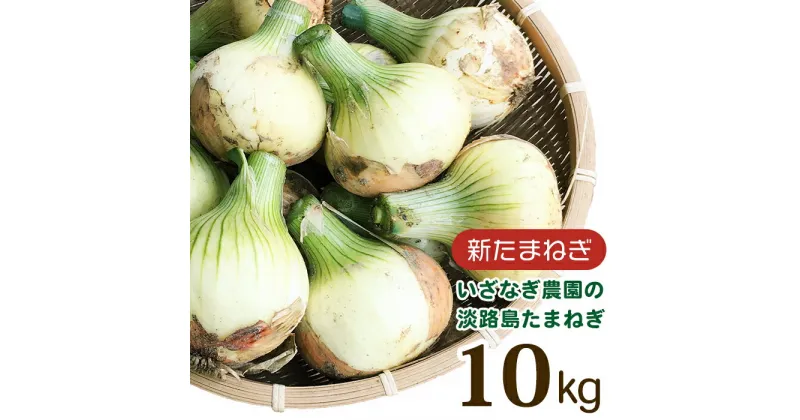 【ふるさと納税】【新たまねぎ】いざなぎ農園の淡路島たまねぎ【発送時期2025年4月中旬～5月頃】