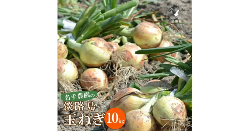 【ふるさと納税】名手農園の淡路島特産玉ねぎ10kg