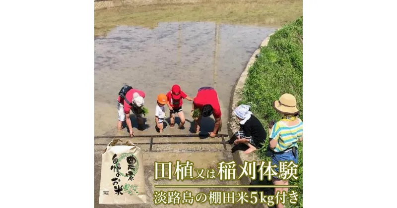 【ふるさと納税】田植又は稲刈体験　淡路島の棚田米5kg付