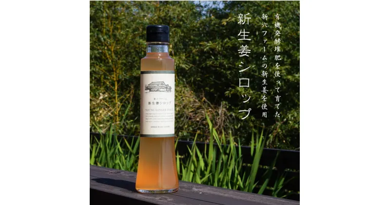 【ふるさと納税】新生姜シロップ　220ml×2本