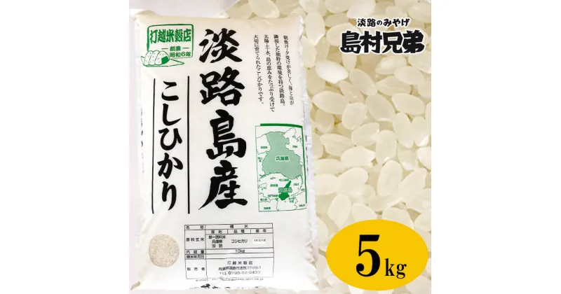 【ふるさと納税】淡路島産　お米「こしひかり」（特撰）5kg