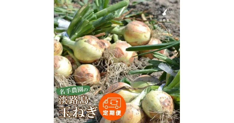 【ふるさと納税】【定期便】名手農園の淡路島特産玉ねぎ10kgの12ヶ月コース