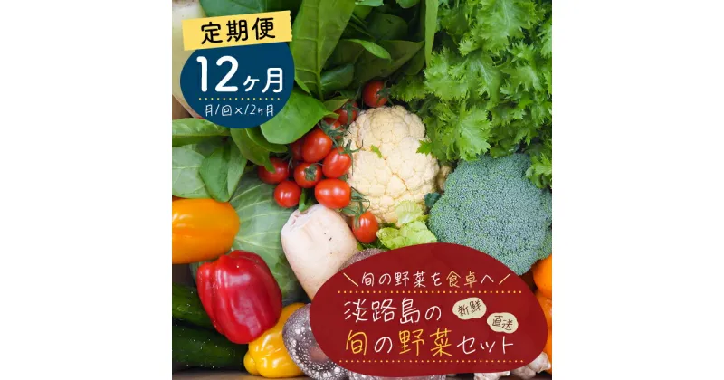 【ふるさと納税】【定期便】淡路島の旬の野菜セット 1年コース（月1回×12回）