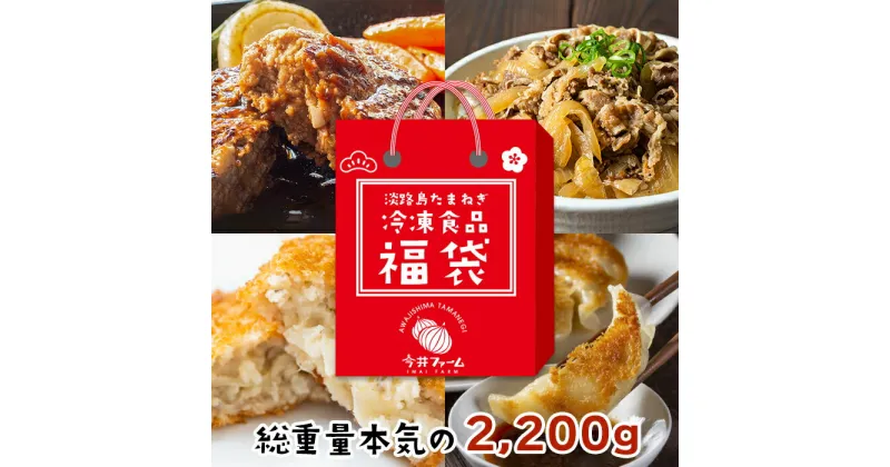 【ふるさと納税】今井ファームの冷凍食品お楽しみ福袋【ハンバーグ・牛丼・餃子・コロッケ】