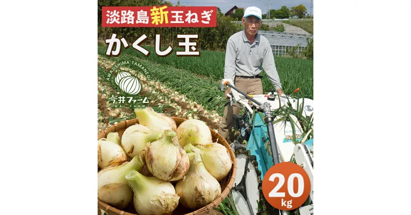 【ふるさと納税】【新たまねぎ】今井ファームの淡路島たまねぎ「かくし玉」20kg【発送時期：2025年4月下旬〜5月頃】