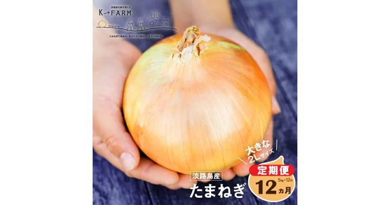 【ふるさと納税】【定期便12ヶ月】淡路島たまねぎ 大きな2Lサイズ 5kg