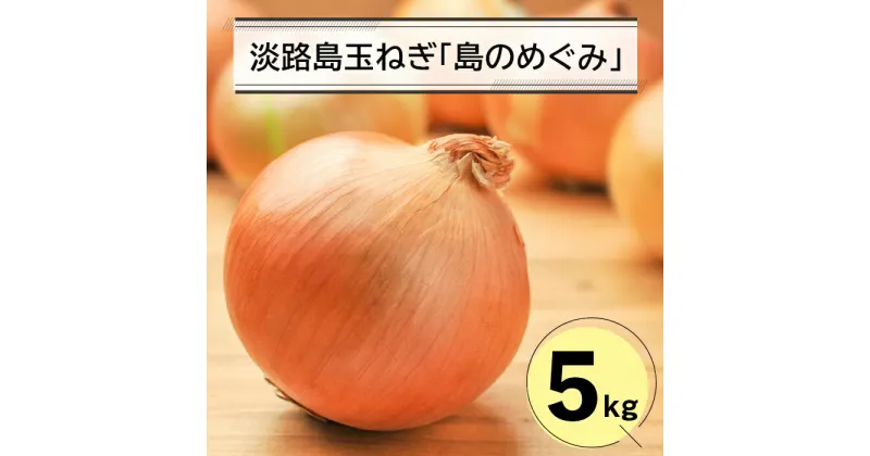 【ふるさと納税】淡路島玉ねぎ「島のめぐみ」5キロ