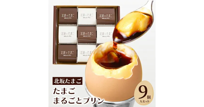 【ふるさと納税】北坂たまごまるごとプリン9個入セット