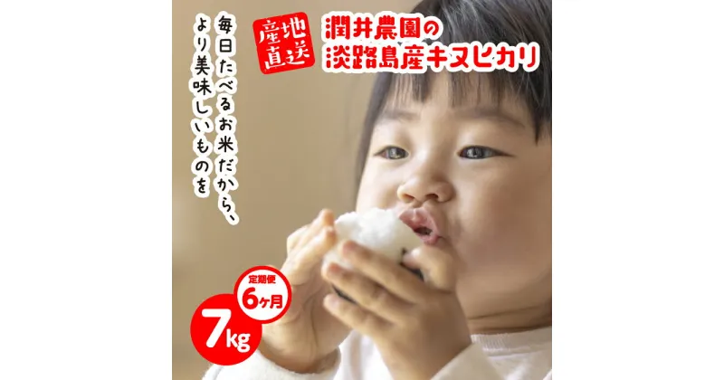 【ふるさと納税】【定期便6ヶ月】潤井農園のキヌヒカリ 7kg