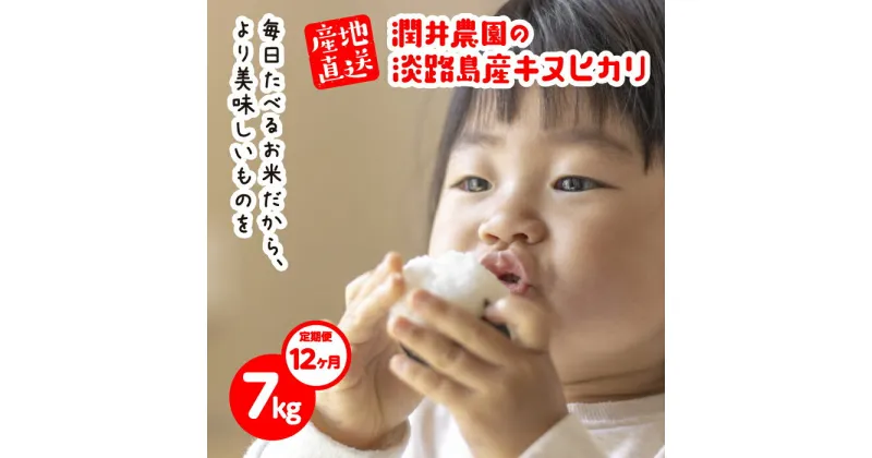 【ふるさと納税】【定期便12ヶ月】潤井農園のキヌヒカリ 7kg