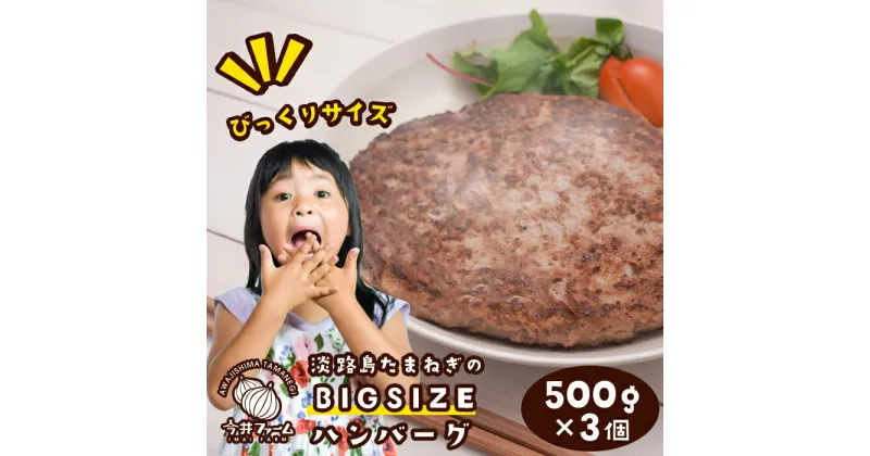 【ふるさと納税】淡路島たまねぎのBIG SIZEハンバーグ 500g×3個