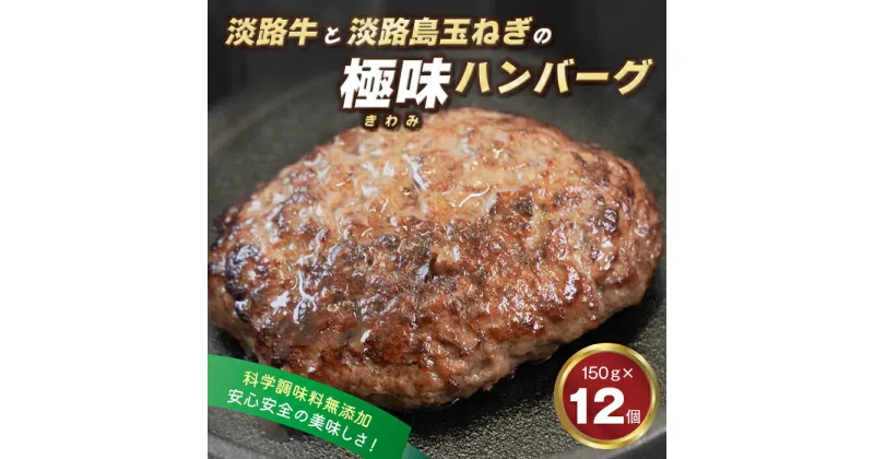 【ふるさと納税】淡路島 極味ハンバーグ 150g×12個　【淡路島玉ねぎと淡路牛】