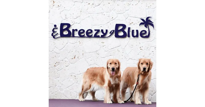 【ふるさと納税】貸別荘BreezyBlue淡路島 ご利用券【10月～3月宿泊限定】（30,000円分）