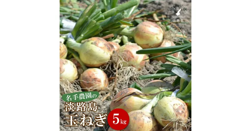 【ふるさと納税】名手農園の淡路島特産玉ねぎ 5kg