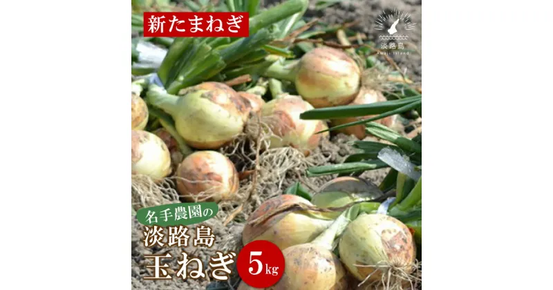 【ふるさと納税】【新たまねぎ】名手農園の淡路島特産玉ねぎ 5kg【発送時期：2025年3月～5月頃】