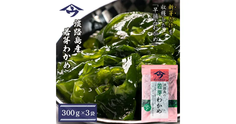 【ふるさと納税】淡路島産 若芽わかめ【早摘みわかめ】 300g×3袋