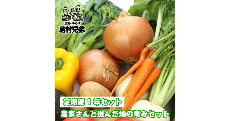 【ふるさと納税】【定期便1年セット】農家さんと選んだ畑の恵みセット