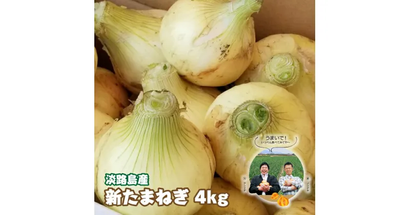 【ふるさと納税】淡路島産　新たまねぎ　4kg【発送時期：2025年3月～5月頃】