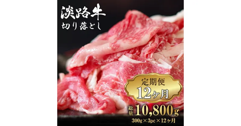 【ふるさと納税】【定期便12ヶ月】淡路牛 切り落とし 900g (300g×3パック）