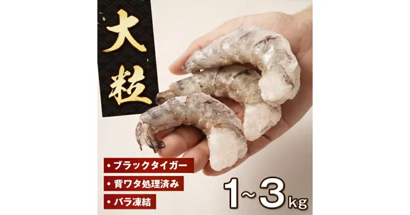 【ふるさと納税】至福の大粒むきえび　背ワタ処理済 1～3kg　　[ムキエビ 大型 むき海老 ブラックタイガー 下処理済み 冷凍 むきエビ エビチリ エビマヨ]