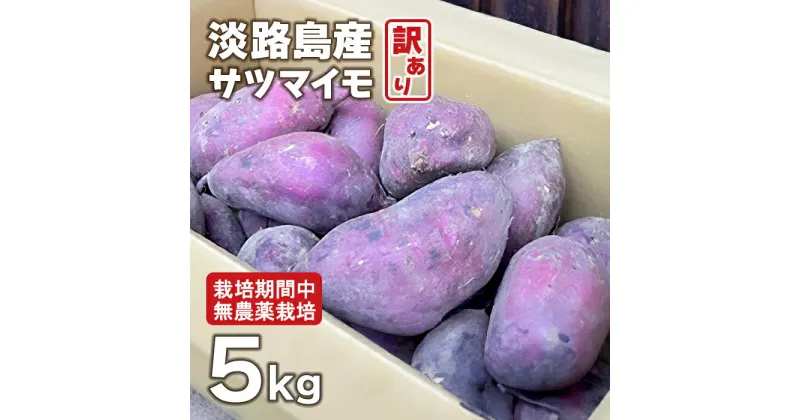 【ふるさと納税】【訳アリ】淡路島産サツマイモ 5kg【栽培期間中、無農薬栽培】