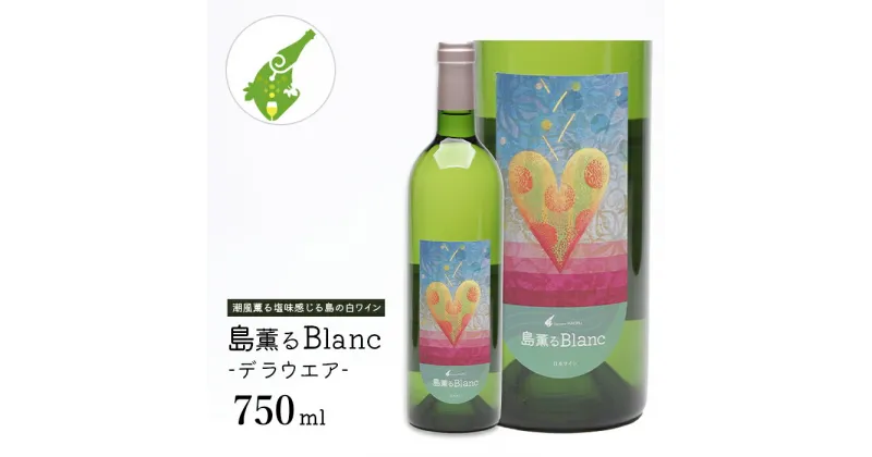 【ふるさと納税】島薫るBlanc -デラウエア-