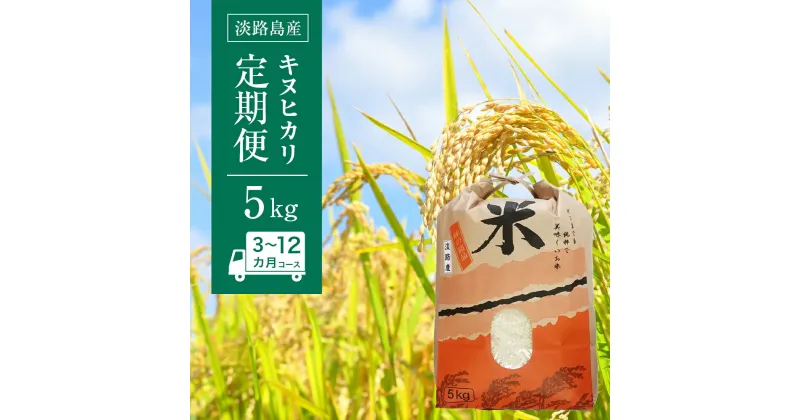 【ふるさと納税】淡路島産　キヌヒカリ　5kg　定期便（3回・6回・12回）