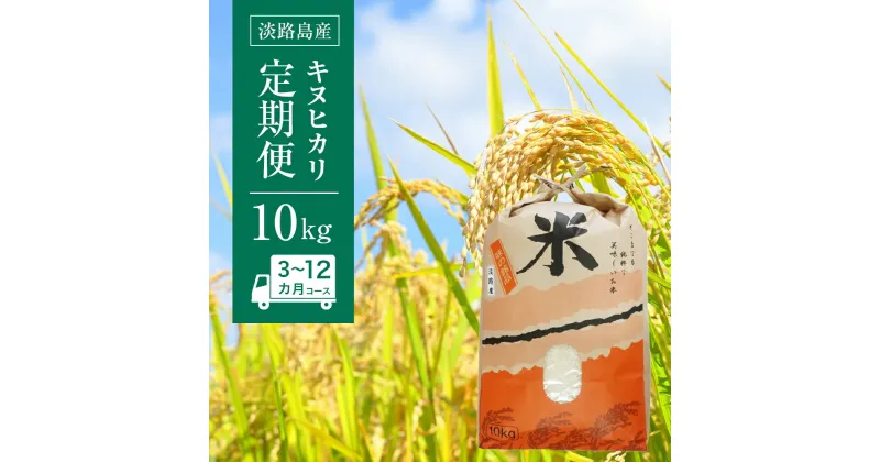 【ふるさと納税】淡路島産　キヌヒカリ　10kg　定期便（3回・6回・12回）