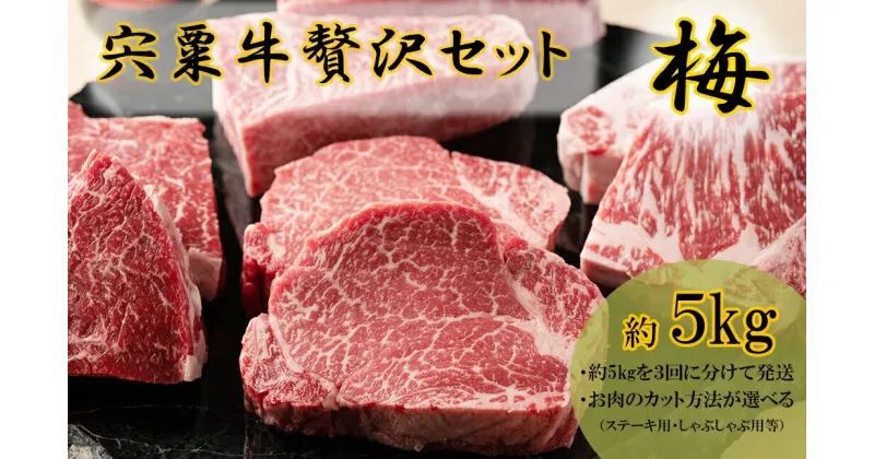 【ふるさと納税】F10　宍粟牛　贅沢セット【梅　5kg】　　　【ステーキ しゃぶしゃぶ 定期発送 冷蔵発送 宍粟牛 国産和牛 黒毛和牛 国産 3年肥育 牛肉 御中元 贈り物 BBQ キャンプ ご褒美】