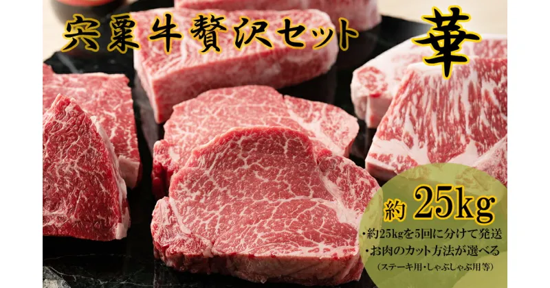 【ふるさと納税】F14　宍粟牛　贅沢セット　【華　25Kg】ステーキ　しゃぶしゃぶ　すき焼き　ロース　定期発送　冷蔵発送　宍粟牛　国産和牛　黒毛和牛　国産　3年肥育