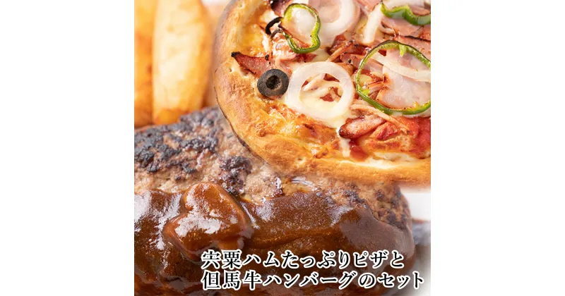 【ふるさと納税】J23　宍粟ハム たっぷり ピザ と 但馬牛 ハンバーグ の セット　（ ハム 牛肉 豚肉 冷凍 パーティー ギフト 贈り物 ）