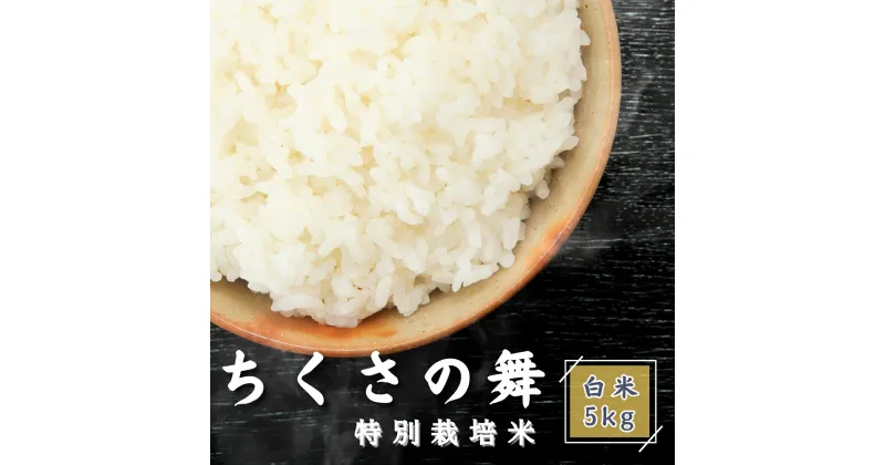 【ふるさと納税】 P11 令和6年産 ちくさの舞 精米 5Kg 【 千種 こしひかり コシヒカリ 特別栽培米 白米 兵庫県 宍粟市 】