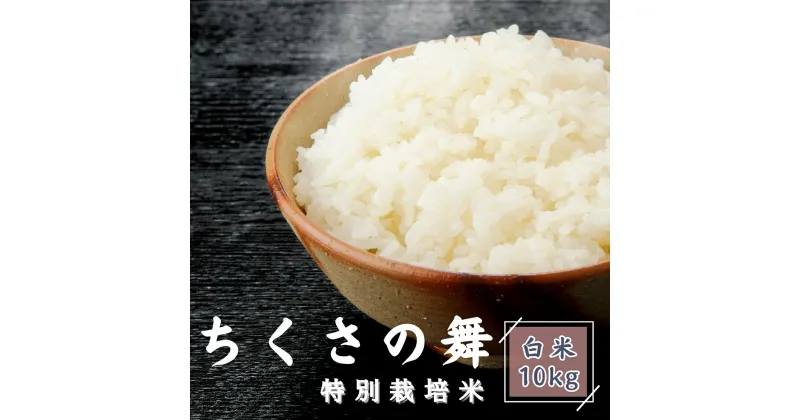 【ふるさと納税】P12 令和6年産 ちくさの舞 精米 10Kg 【 千種 こしひかり コシヒカリ 特別栽培米 白米 兵庫県 宍粟市 】