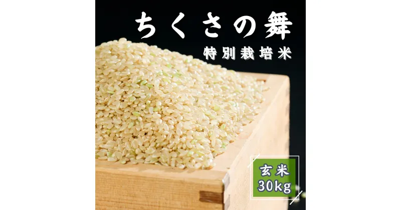 【ふるさと納税】P13 令和6年産 ちくさの舞 玄米 30Kg（15Kg × 2 ） 【 千種 こしひかり コシヒカリ 特別栽培米 兵庫県 宍粟市 】