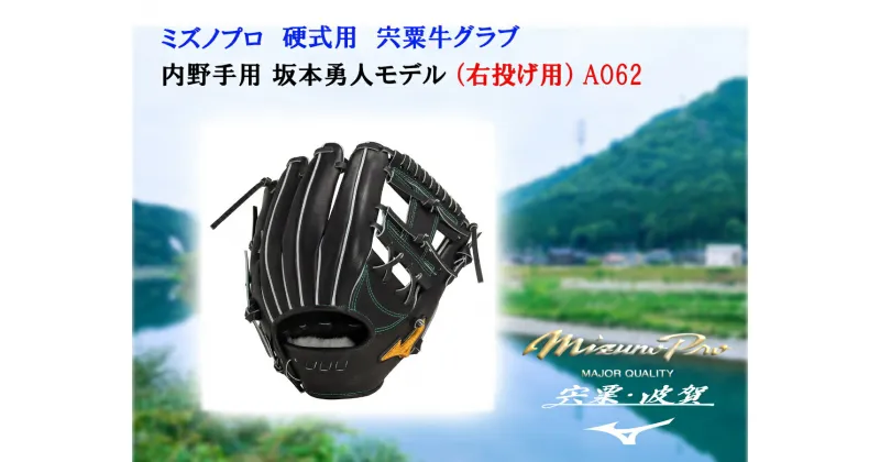 【ふるさと納税】AO62　ミズノプロ 硬式用 宍粟牛グラブ 内野手用 坂本勇人 モデル（右投げ）【 ミズノプロ 硬式 野球 グローブ 宍粟牛 グラブ 受注生産 MIZUNO PRO 地産地消 】