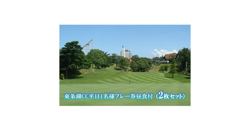 【ふるさと納税】東条湖CC 平日 1名様 プレー券 昼食付 (2枚セット)[ ゴルフ 加東市 兵庫県 関西 ゴルフ場 ]　ゴルフ場利用権・チケット