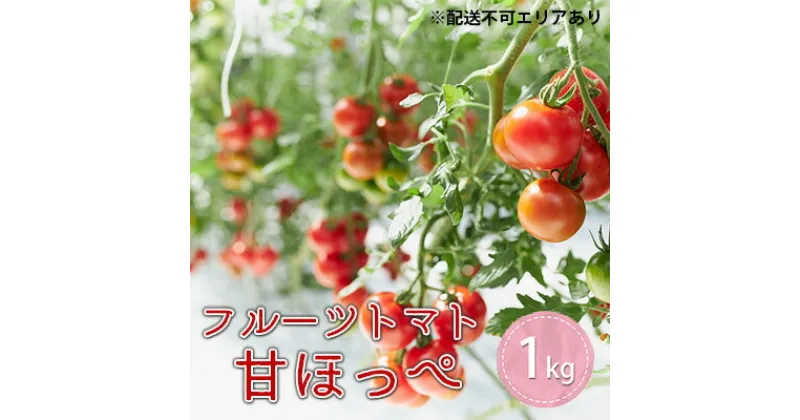 【ふるさと納税】フルーツトマト 『 甘ほっぺ ( フルティカ )』1kg[ トマト ミディトマト 野菜 完熟 ]　野菜・トマト・フルーツトマト・とまと・1kg　お届け：2024年12月上旬～2025年6月下旬