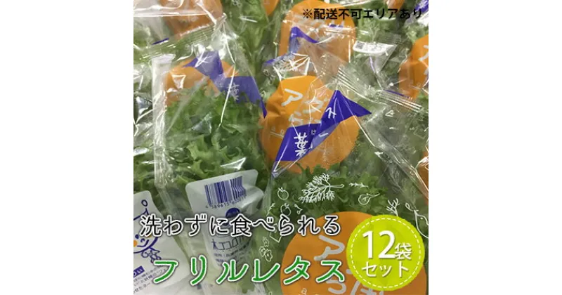 【ふるさと納税】植物工場産　洗わずに食べられるフリルレタス　12袋セット [野菜 水耕栽培 栽培期間中農薬不使用]　野菜