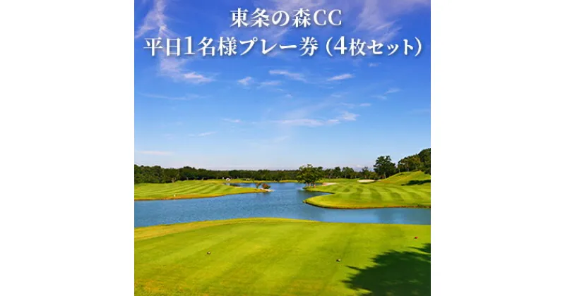 【ふるさと納税】東条の森カントリークラブ 平日 1名様 プレー券 (4枚セット) 東条の森CC [ ゴルフ 加東市 兵庫県 関西 ゴルフ場 ]　ゴルフ場利用権・ゴルフ・平日・プレー券