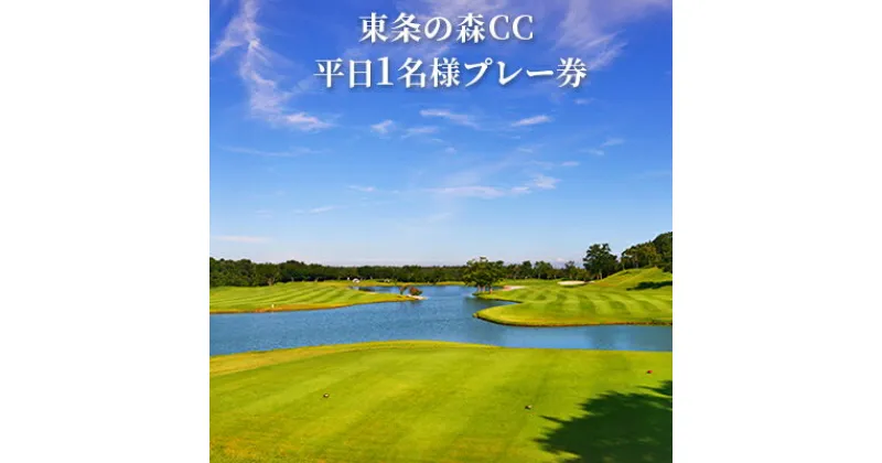 【ふるさと納税】東条の森カントリークラブ 平日 1名様 プレー券 東条の森CC [ ゴルフ 加東市 兵庫県 関西 ゴルフ場 ]　ゴルフ場利用権・ゴルフ・平日・プレー券