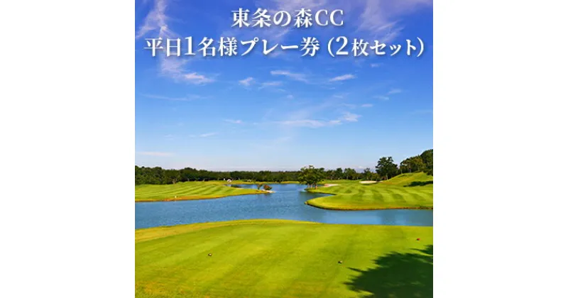 【ふるさと納税】東条の森カントリークラブ 平日 1名様 プレー券 (2枚セット) 東条の森CC [ ゴルフ 加東市 兵庫県 関西 ゴルフ場 ]　ゴルフ場利用権・ゴルフ・平日・プレー券