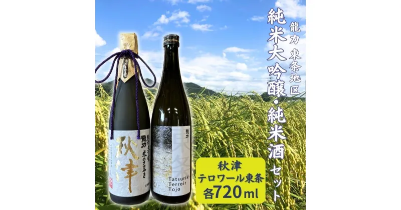 【ふるさと納税】龍力 純米大吟醸 秋津 ・ 純米酒 テロワール東条 飲み比べ セット 各720ml 本田商店 加東市特A地区 東条産山田錦使用 [日本酒 酒 お酒 四合瓶 贈答品 辛口 ]　 晩酌 家飲み 日本酒飲み比べ 日本酒セット