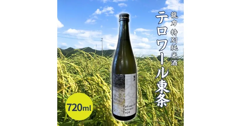 【ふるさと納税】龍力 特別純米酒 テロワール東条 720ml 本田商店 加東市特A地区 東条産山田錦使用[日本酒 酒 お酒 四合瓶 贈答品 辛口 ]　 晩酌 家飲み 宅飲み 飲み会 ギフト 贈り物 香りの良さ 上品な余韻