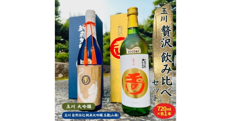 【ふるさと納税】玉川 大吟醸 ・ 自然仕込 純米大吟醸 玉龍 (山廃) 贅沢 飲み比べ セット 木下酒造 加東市特A地区産 山田錦使用[ 日本酒 酒 お酒 四合瓶 贈答品 ]　 アルコール 家飲み 宅飲み 晩酌