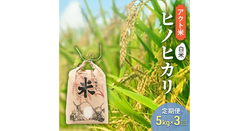 【ふるさと納税】定期便 お米 令和5年産 アクト米 ヒノヒカリ 白米 5kg 3ヶ月連続お届け　定期便・加東市　お届け：2024年11月中旬～2025年9月末まで