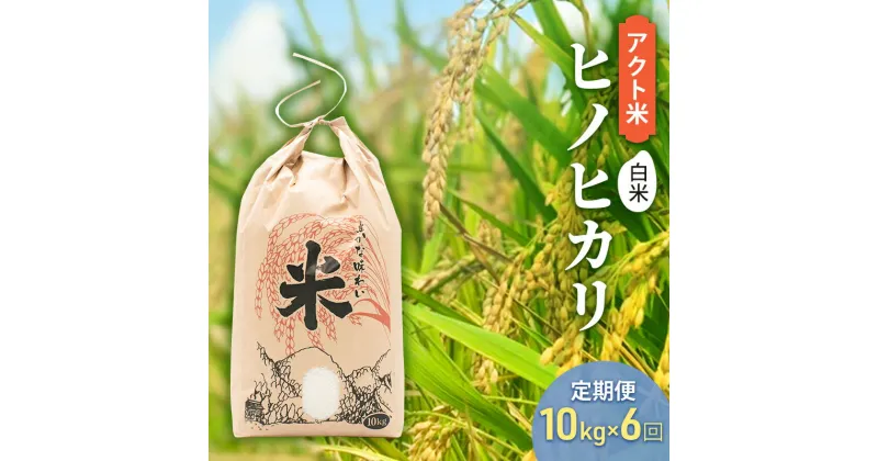 【ふるさと納税】定期便 お米 【令和6年産 予約受付】 アクト米 ヒノヒカリ 白米 10kg 6ヶ月連続お届け　定期便・加東市　お届け：2024年11月中旬～2025年9月末まで