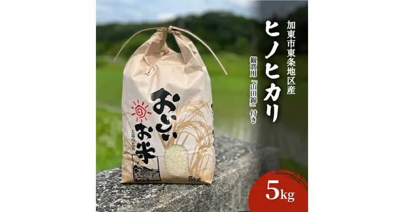 【ふるさと納税】米 令和6年産 加東市東条地区産 ヒノヒカリ 白米 5kg [ 新米 予約 新米早期受付 お米 こめ コメ ]　お届け：2024年11月上旬より順次発送予定