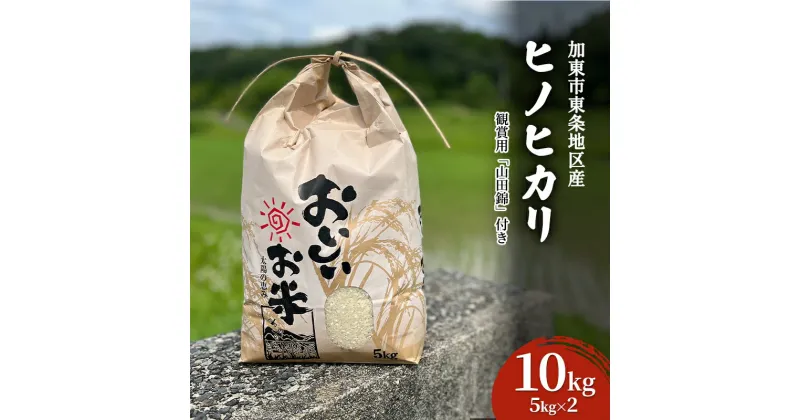 【ふるさと納税】米 令和6年産 加東市東条地区産 ヒノヒカリ 白米 10kg（5kg×2） [ 新米 予約 新米早期受付 お米 こめ コメ ]　お届け：2024年11月上旬より順次発送予定