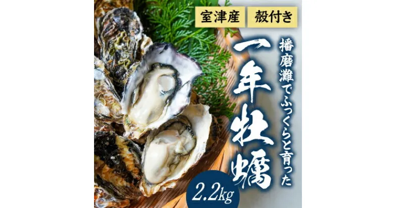 【ふるさと納税】H-11【12月〜3月限定】 室津産殻つき牡蠣2.2kg